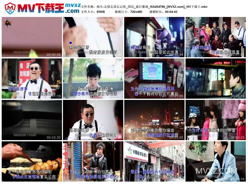 海生-忘情忘爱忘记你_国语_流行歌曲_MA204786